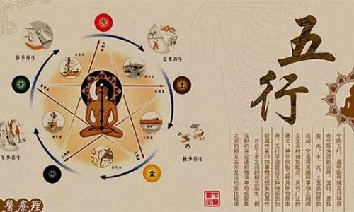 龙风子功效-专业龙风三效功效平台-龙风丹功效